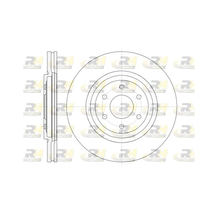 Stabdžių diskas ROADHOUSE 61348.10