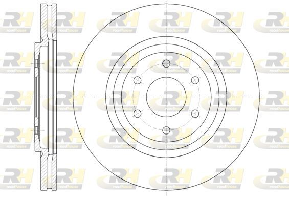 Stabdžių diskas ROADHOUSE 61348.10