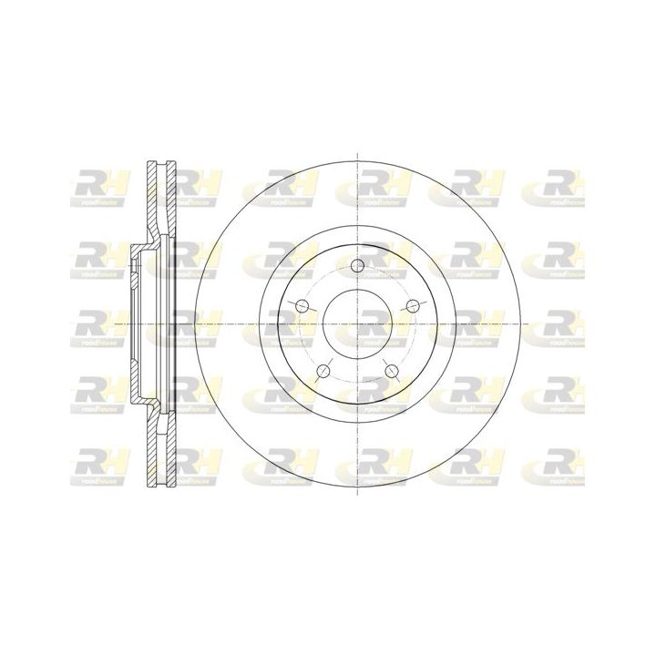 Stabdžių diskas ROADHOUSE 61349.10