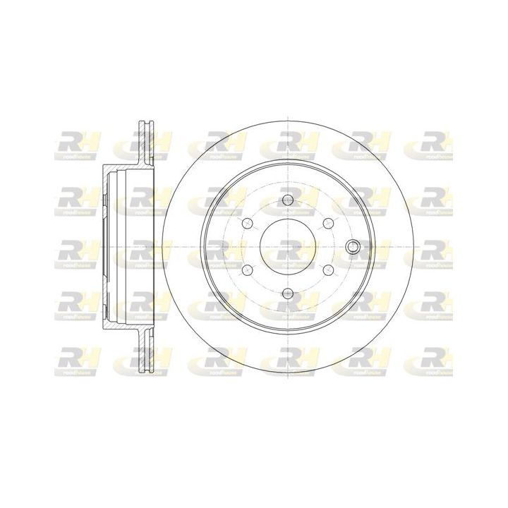 Stabdžių diskas ROADHOUSE 61354.10