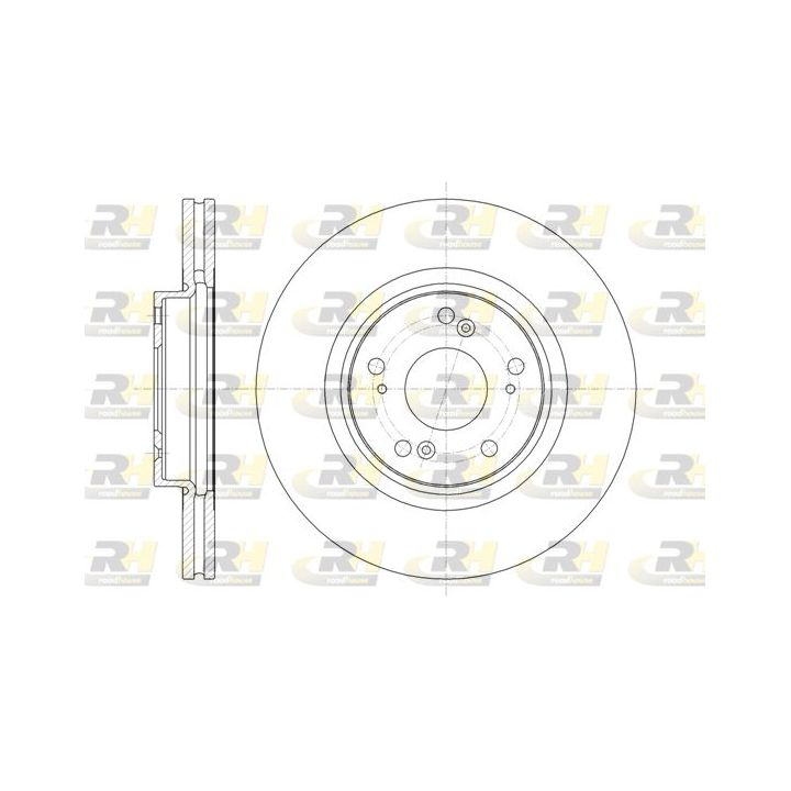 Stabdžių diskas ROADHOUSE 61359.10