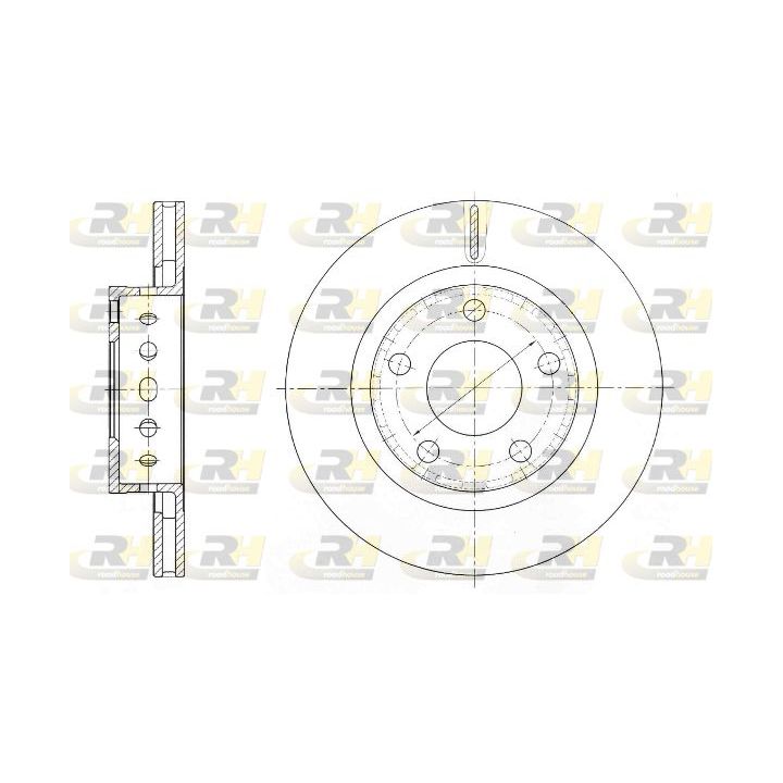 Stabdžių diskas ROADHOUSE 61363.10