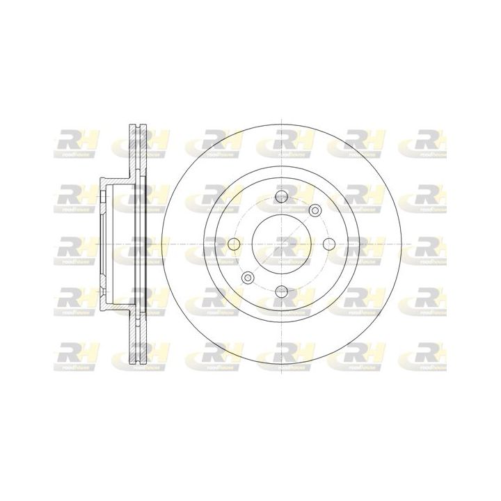 Stabdžių diskas ROADHOUSE 61365.10