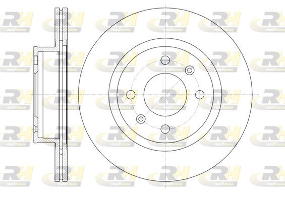 Stabdžių diskas ROADHOUSE 61365.10
