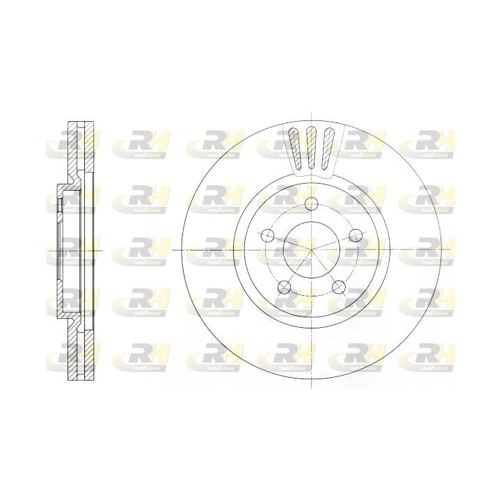 Stabdžių diskas ROADHOUSE 61370.10