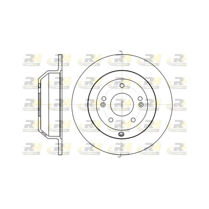 Stabdžių diskas ROADHOUSE 61373.00