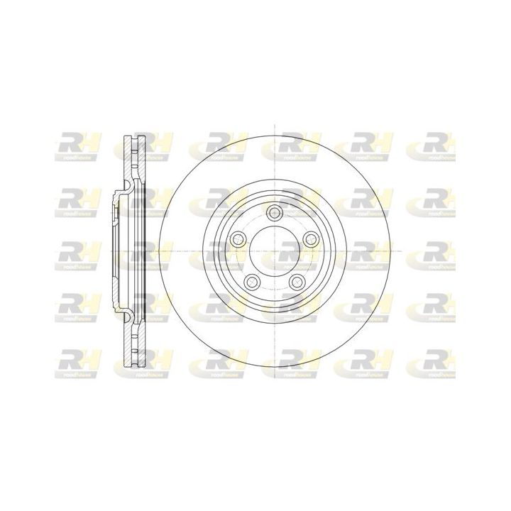 Stabdžių diskas ROADHOUSE 61374.10