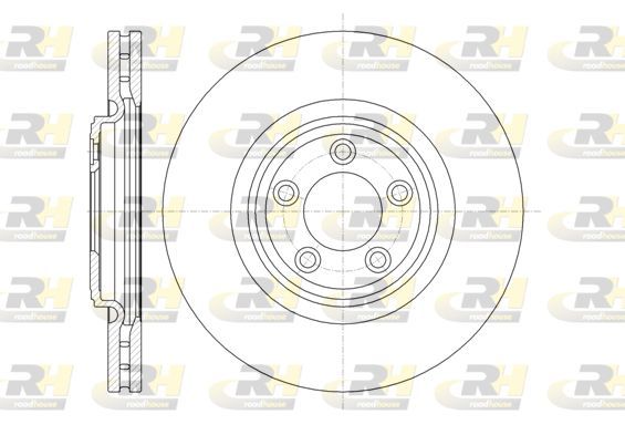 Stabdžių diskas ROADHOUSE 61374.10
