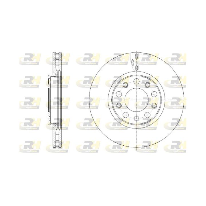 Stabdžių diskas ROADHOUSE 61389.10