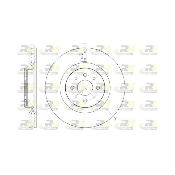 Stabdžių diskas ROADHOUSE 61391.10