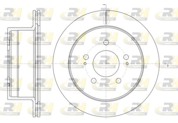 Stabdžių diskas ROADHOUSE 61398.10