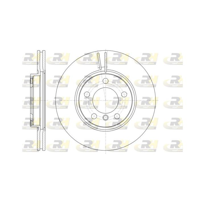 Stabdžių diskas ROADHOUSE 61440.10