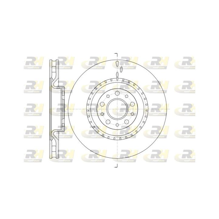 Stabdžių diskas ROADHOUSE 61458.10
