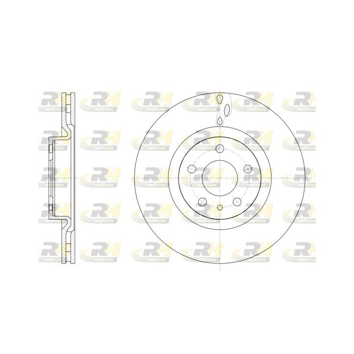 Stabdžių diskas ROADHOUSE 61501.10