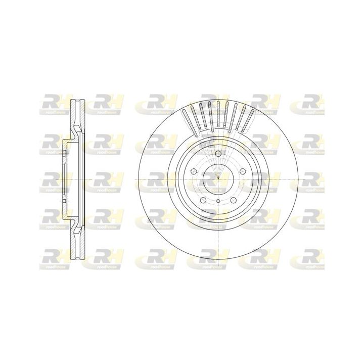 Stabdžių diskas ROADHOUSE 61508.10