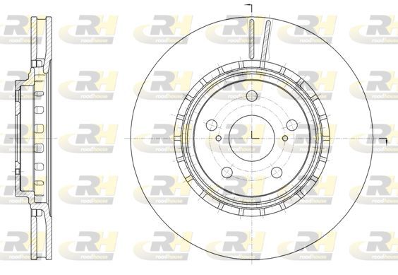 Stabdžių diskas ROADHOUSE 61540.10