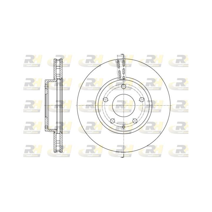 Stabdžių diskas ROADHOUSE 61573.10