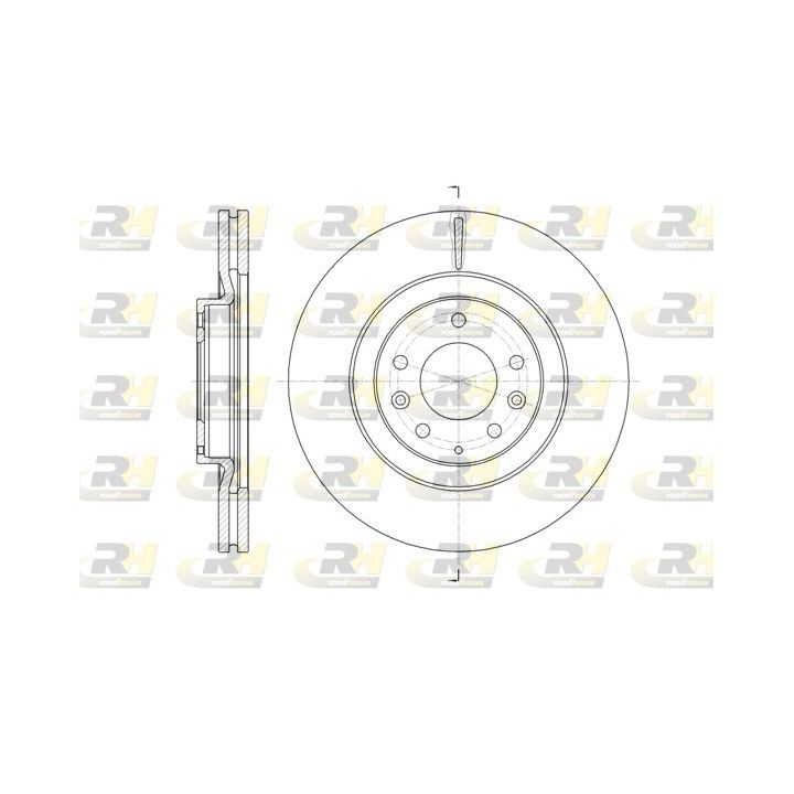 Stabdžių diskas ROADHOUSE 61638.10