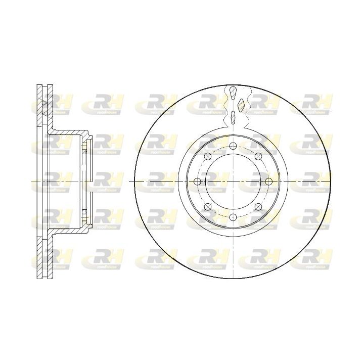Stabdžių diskas ROADHOUSE 61673.10