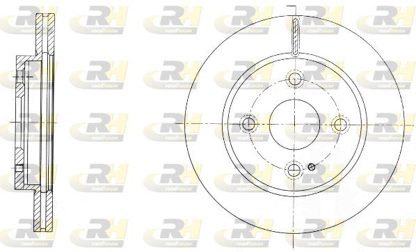 Stabdžių diskas ROADHOUSE 61738.10