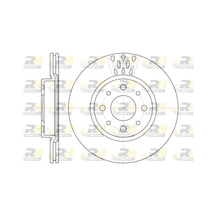 Stabdžių diskas ROADHOUSE 6189.10