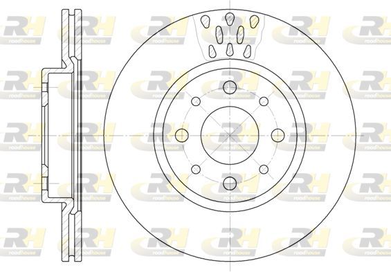 Stabdžių diskas ROADHOUSE 6189.10