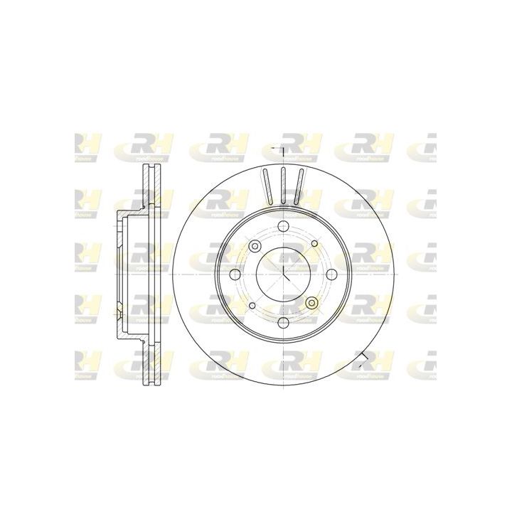 Stabdžių diskas ROADHOUSE 6225.10