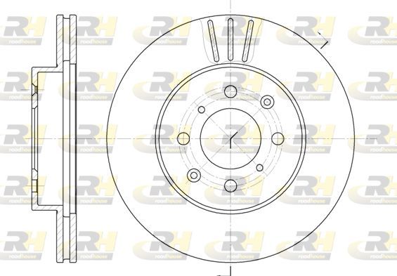Stabdžių diskas ROADHOUSE 6226.10