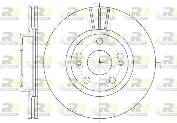 Stabdžių diskas ROADHOUSE 6301.10