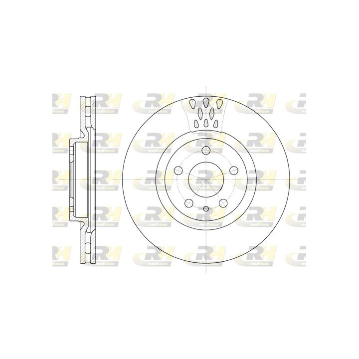 Stabdžių diskas ROADHOUSE 6305.10