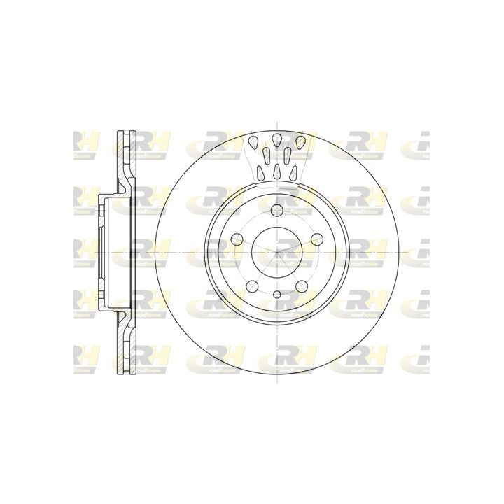 Stabdžių diskas ROADHOUSE 6316.10