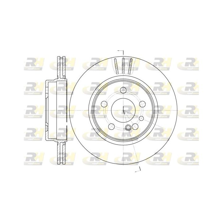 Stabdžių diskas ROADHOUSE 6343.10