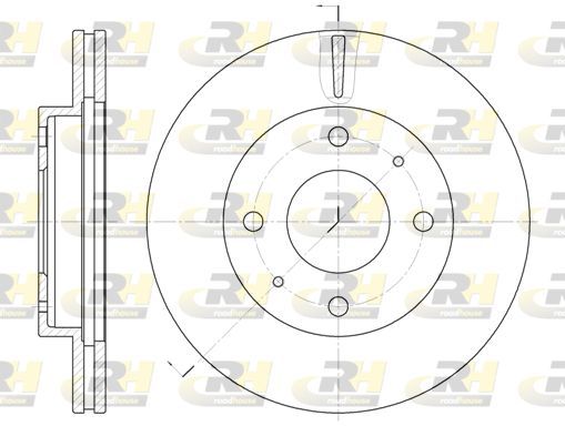 Stabdžių diskas ROADHOUSE 6376.10