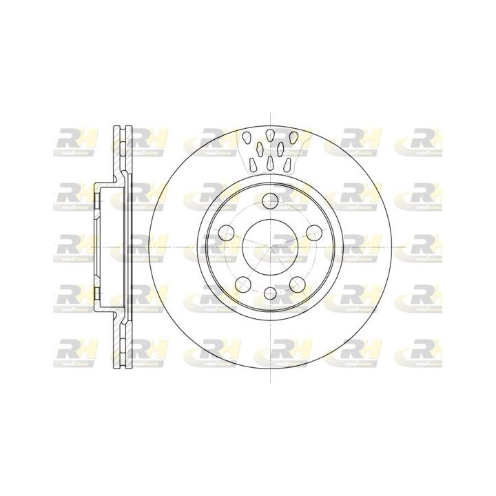 Stabdžių diskas ROADHOUSE 6442.11