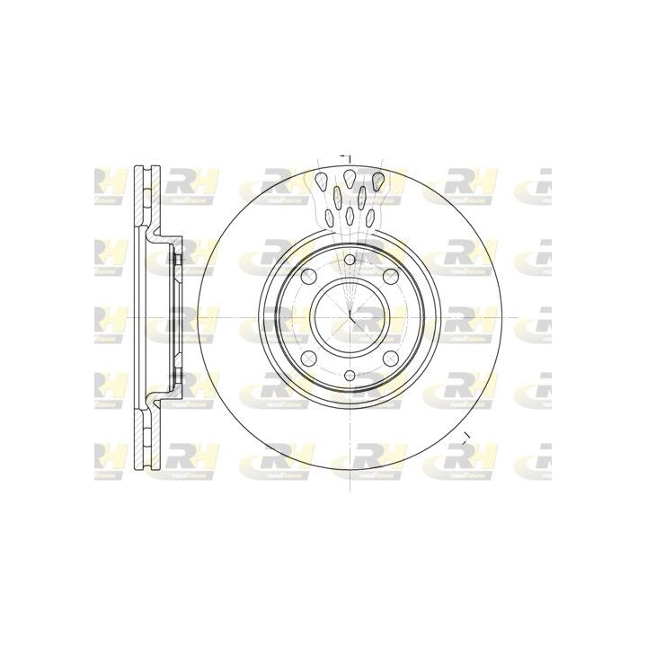 Stabdžių diskas ROADHOUSE 6443.10