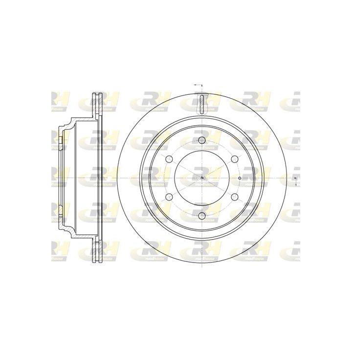 Stabdžių diskas ROADHOUSE 6515.10