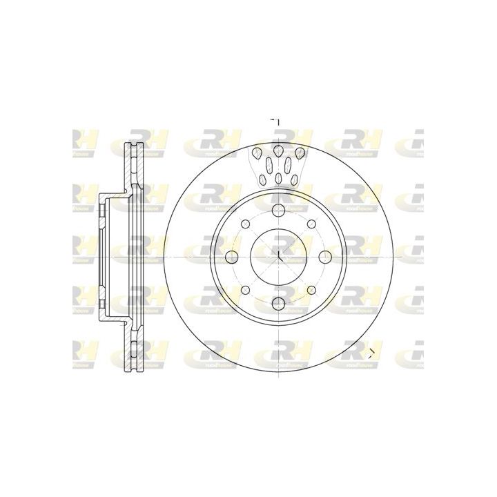 Stabdžių diskas ROADHOUSE 6517.10