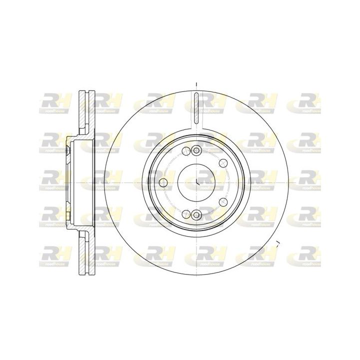 Stabdžių diskas ROADHOUSE 6612.10