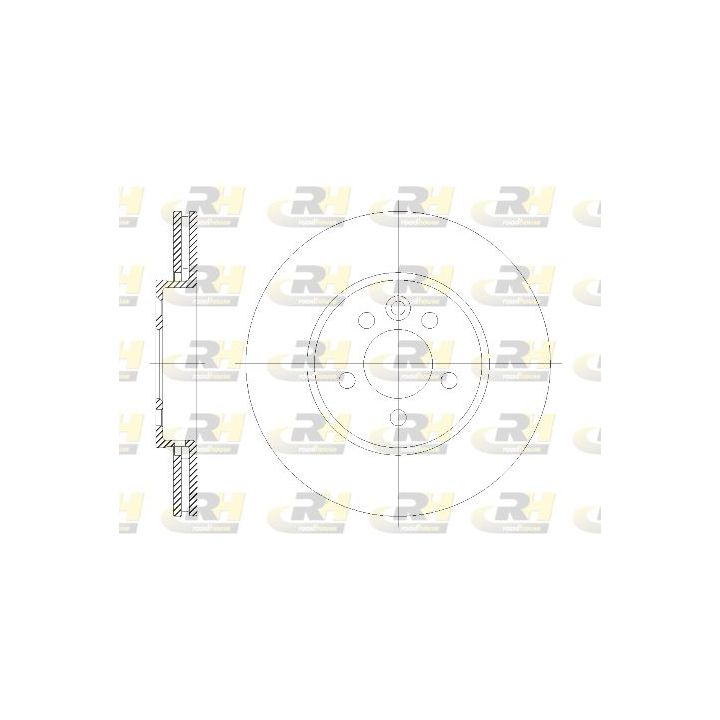 Stabdžių diskas ROADHOUSE 6614.10