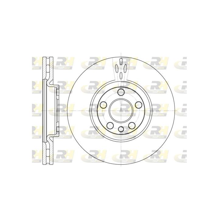 Stabdžių diskas ROADHOUSE 6658.10