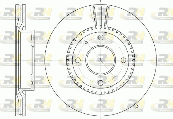 Stabdžių diskas ROADHOUSE 6668.10