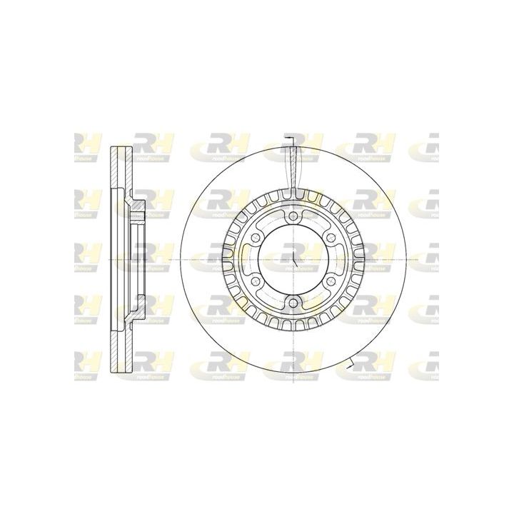 Stabdžių diskas ROADHOUSE 6669.10