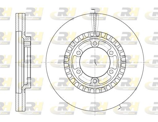 Stabdžių diskas ROADHOUSE 6669.10
