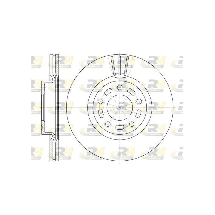 Stabdžių diskas ROADHOUSE 6672.10