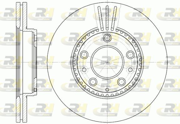 Stabdžių diskas ROADHOUSE 6673.10