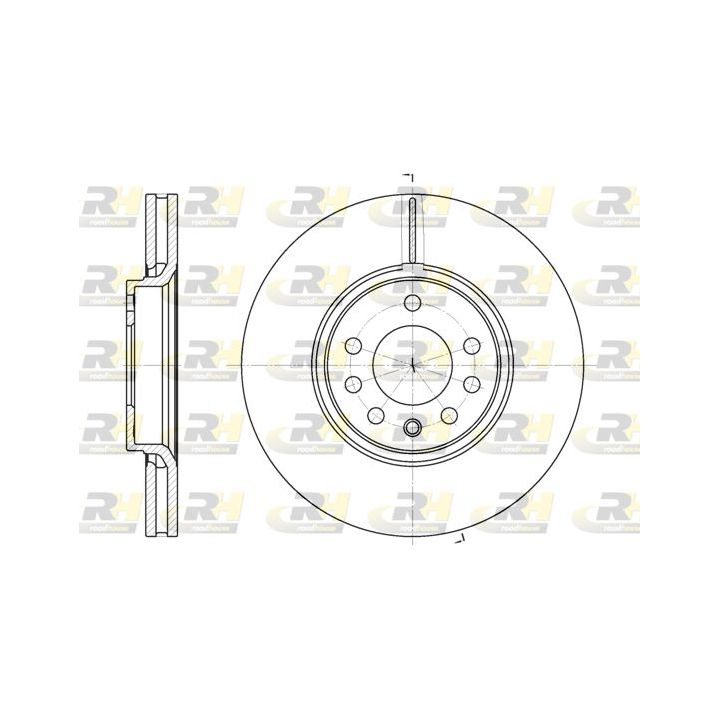 Stabdžių diskas ROADHOUSE 6687.10