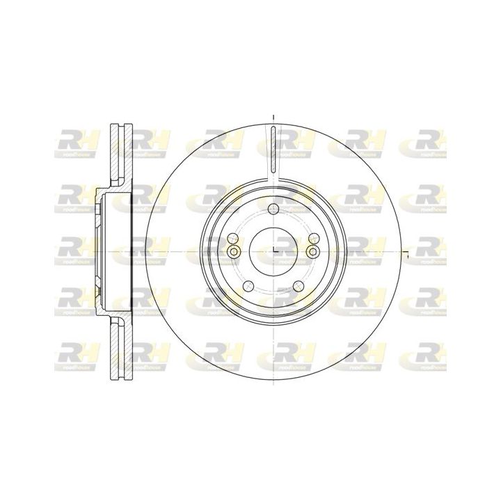 Stabdžių diskas ROADHOUSE 6695.10