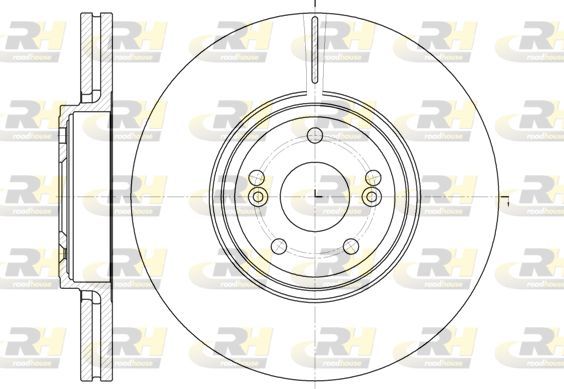 Stabdžių diskas ROADHOUSE 6695.10