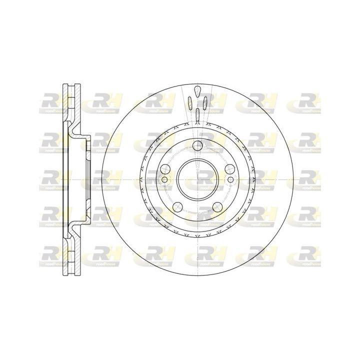 Stabdžių diskas ROADHOUSE 6696.10