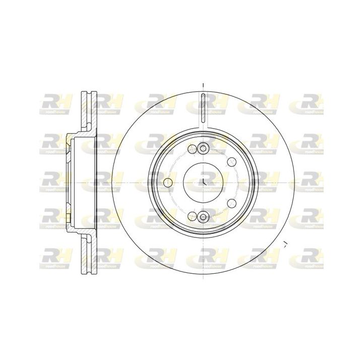 Stabdžių diskas ROADHOUSE 6697.10